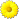 flower yellow flower yellow
